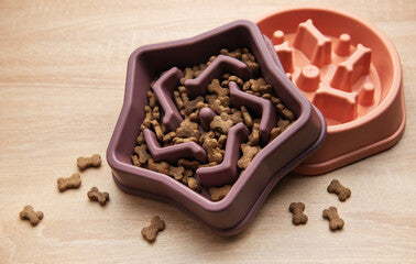 Ciotola Antifame Slow Feeder per Cani