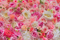 Stimolatore Clitorideo Rose Succhia-Clitoride Ricaricabile