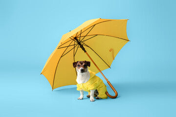 Impermeabile Cappottino per Cani