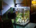 Riscaldatore Regolabile per Acquario