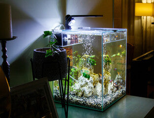 Riscaldatore Regolabile per Acquario