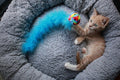Cuccia Igloo Peluche per Gatti