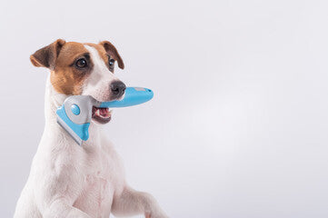 Spazzola Deshedding Rimuovi Pelo per Cani e Gatti