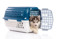Kennel Trasportino Rigido per Cani