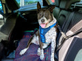 Copri-Sedile Auto Impermeabile per Cani