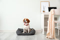 Cuscino Ortopedico Memory Foam per Cani